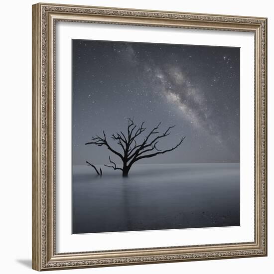 Milky Way in Botany Bay-Moises Levy-Framed Photographic Print