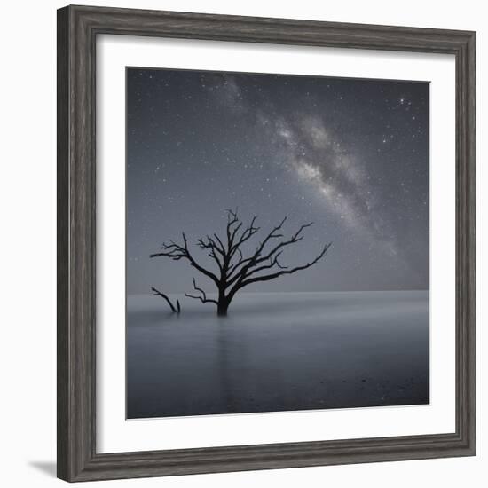 Milky Way in Botany Bay-Moises Levy-Framed Photographic Print