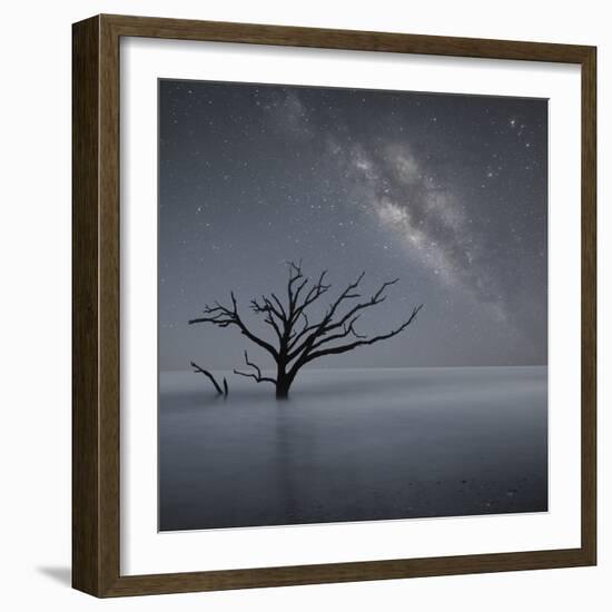 Milky Way in Botany Bay-Moises Levy-Framed Photographic Print