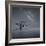 Milky Way in Botany Bay-Moises Levy-Framed Photographic Print