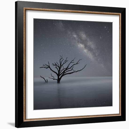 Milky Way in Botany Bay-Moises Levy-Framed Photographic Print