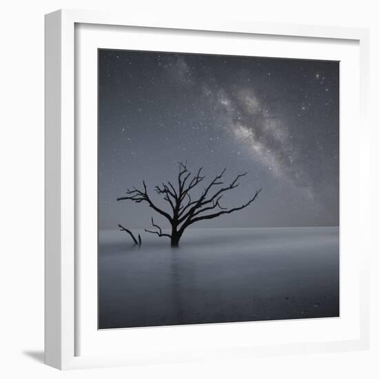 Milky Way in Botany Bay-Moises Levy-Framed Photographic Print
