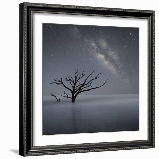 Milky Way in Botany Bay-Moises Levy-Framed Photographic Print