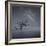 Milky Way in Botany Bay-Moises Levy-Framed Photographic Print