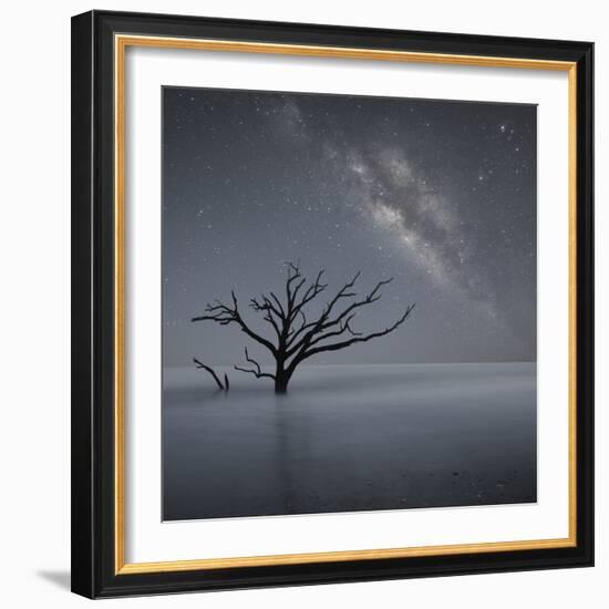 Milky Way in Botany Bay-Moises Levy-Framed Photographic Print