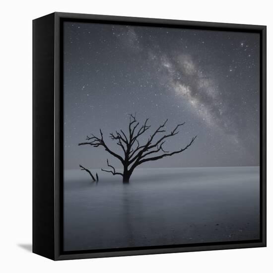 Milky Way in Botany Bay-Moises Levy-Framed Premier Image Canvas