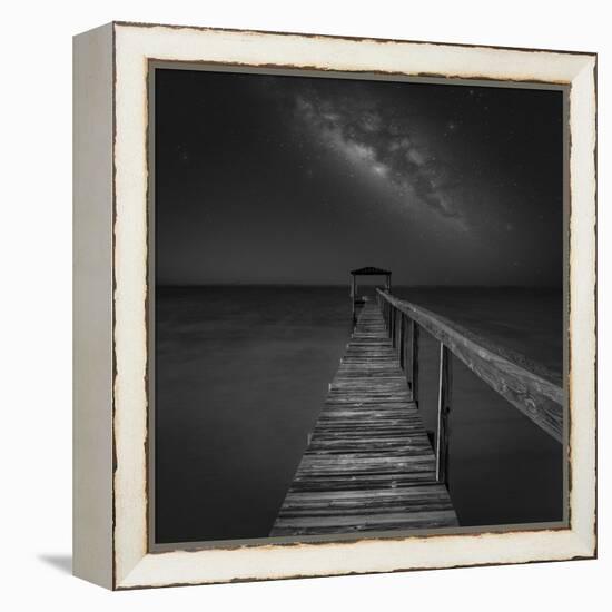 Milky Way in Florida 2-Moises Levy-Framed Premier Image Canvas