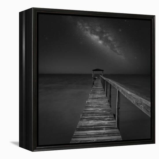 Milky Way in Florida 2-Moises Levy-Framed Premier Image Canvas