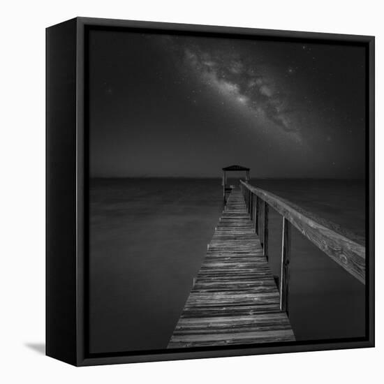 Milky Way in Florida 2-Moises Levy-Framed Premier Image Canvas