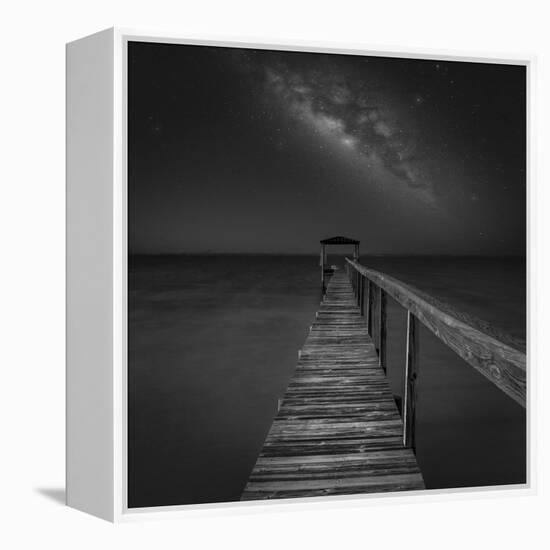 Milky Way in Florida 2-Moises Levy-Framed Premier Image Canvas