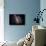 Milky Way IV-Douglas Taylor-Photo displayed on a wall