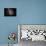 Milky Way IV-Douglas Taylor-Photo displayed on a wall