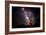 Milky Way IV-Douglas Taylor-Framed Photo