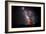 Milky Way IV-Douglas Taylor-Framed Photo