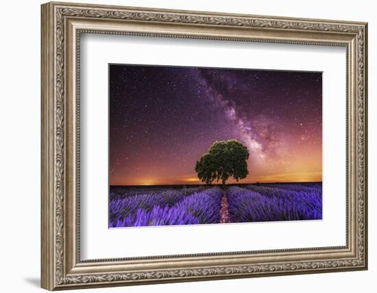 Milky Way over a lavender field in Guadalajara province, Spain, Europe-David Rocaberti-Framed Photographic Print