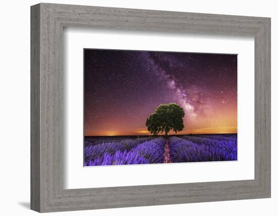 Milky Way over a lavender field in Guadalajara province, Spain, Europe-David Rocaberti-Framed Photographic Print