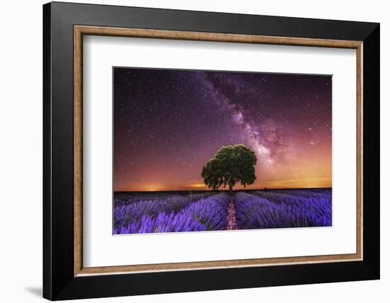 Milky Way over a lavender field in Guadalajara province, Spain, Europe-David Rocaberti-Framed Photographic Print