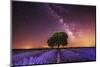 Milky Way over a lavender field in Guadalajara province, Spain, Europe-David Rocaberti-Mounted Photographic Print