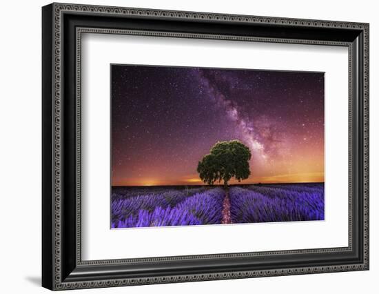 Milky Way over a lavender field in Guadalajara province, Spain, Europe-David Rocaberti-Framed Photographic Print
