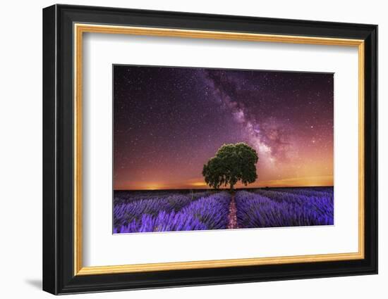 Milky Way over a lavender field in Guadalajara province, Spain, Europe-David Rocaberti-Framed Photographic Print