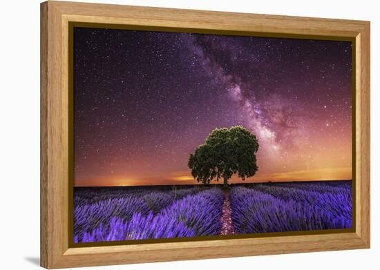 Milky Way over a lavender field in Guadalajara province, Spain, Europe-David Rocaberti-Framed Premier Image Canvas