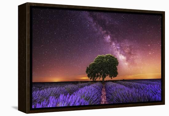 Milky Way over a lavender field in Guadalajara province, Spain, Europe-David Rocaberti-Framed Premier Image Canvas