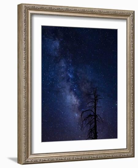 Milky way over the Carson National Forest, Tres Piedras, New Mexico-Maresa Pryor-Framed Photographic Print