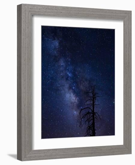 Milky way over the Carson National Forest, Tres Piedras, New Mexico-Maresa Pryor-Framed Photographic Print