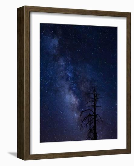 Milky way over the Carson National Forest, Tres Piedras, New Mexico-Maresa Pryor-Framed Photographic Print