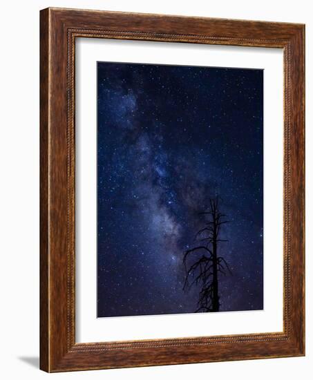 Milky way over the Carson National Forest, Tres Piedras, New Mexico-Maresa Pryor-Framed Photographic Print