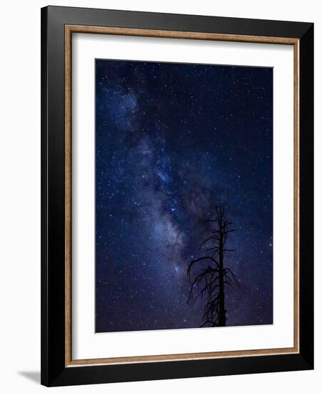 Milky way over the Carson National Forest, Tres Piedras, New Mexico-Maresa Pryor-Framed Photographic Print