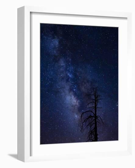 Milky way over the Carson National Forest, Tres Piedras, New Mexico-Maresa Pryor-Framed Photographic Print