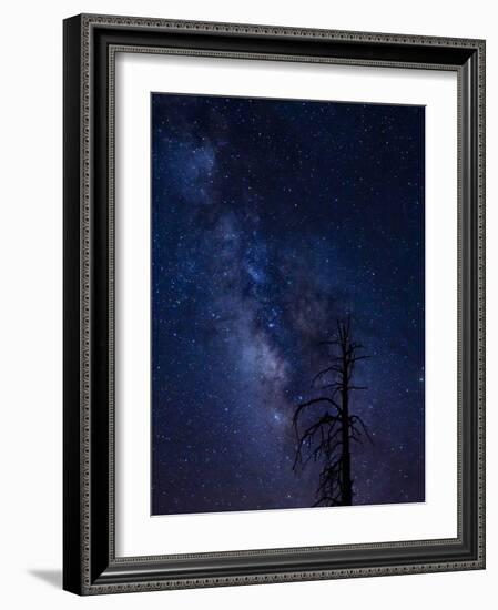 Milky way over the Carson National Forest, Tres Piedras, New Mexico-Maresa Pryor-Framed Photographic Print