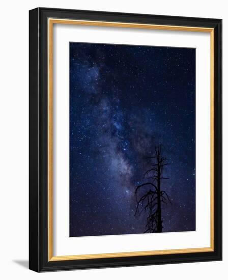 Milky way over the Carson National Forest, Tres Piedras, New Mexico-Maresa Pryor-Framed Photographic Print