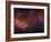 Milky Way-Stocktrek Images-Framed Photographic Print