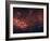 Milky Way-Stocktrek Images-Framed Photographic Print