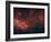 Milky Way-Stocktrek Images-Framed Photographic Print