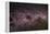 Milky Way-Dr. Fred Espenak-Framed Premier Image Canvas