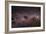 Milky Way-Dr. Fred Espenak-Framed Photographic Print