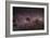 Milky Way-Dr. Fred Espenak-Framed Photographic Print