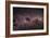 Milky Way-Dr. Fred Espenak-Framed Photographic Print