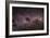 Milky Way-Dr. Fred Espenak-Framed Photographic Print