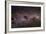 Milky Way-Dr. Fred Espenak-Framed Photographic Print