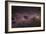 Milky Way-Dr. Fred Espenak-Framed Photographic Print