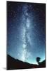 milky Way-Fred Espenak-Mounted Photographic Print