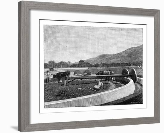 Mill for Husking Coffee, Central America, C1890-null-Framed Giclee Print