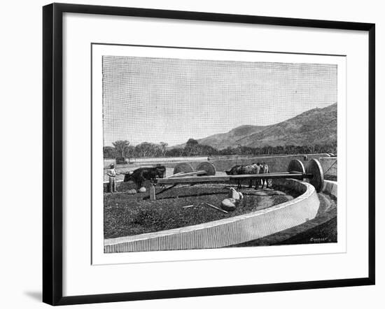 Mill for Husking Coffee, Central America, C1890-null-Framed Giclee Print