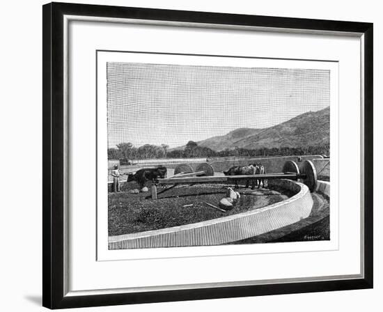 Mill for Husking Coffee, Central America, C1890-null-Framed Giclee Print