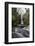 Mill Gill Force Waterfall, Askrigg, Wensleydale, North Yorkshire, Yorkshire-Mark Mawson-Framed Photographic Print