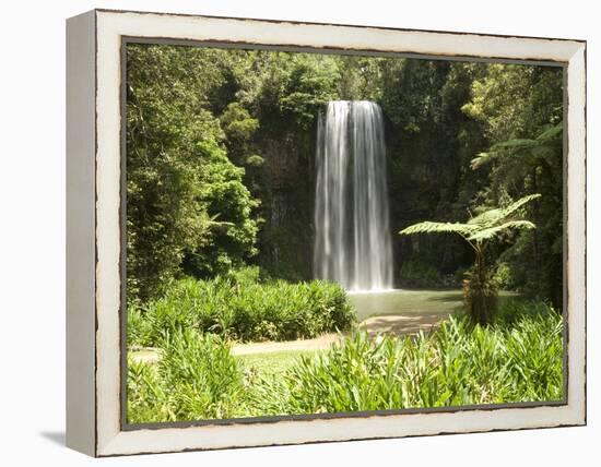 Millaa Millaa Falls, Atherton Tablelands, Queensland, Australia, Pacific-null-Framed Premier Image Canvas